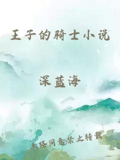 王子的骑士小说