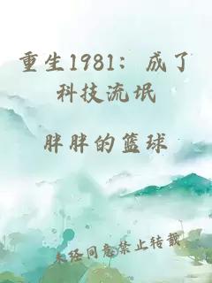 重生1981:成了科技流氓